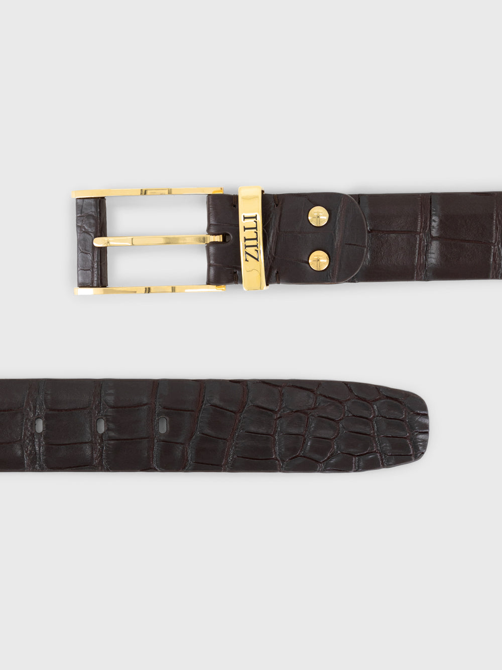 Gold-Finish 2007 Buckle Crocodile Belt - Brown