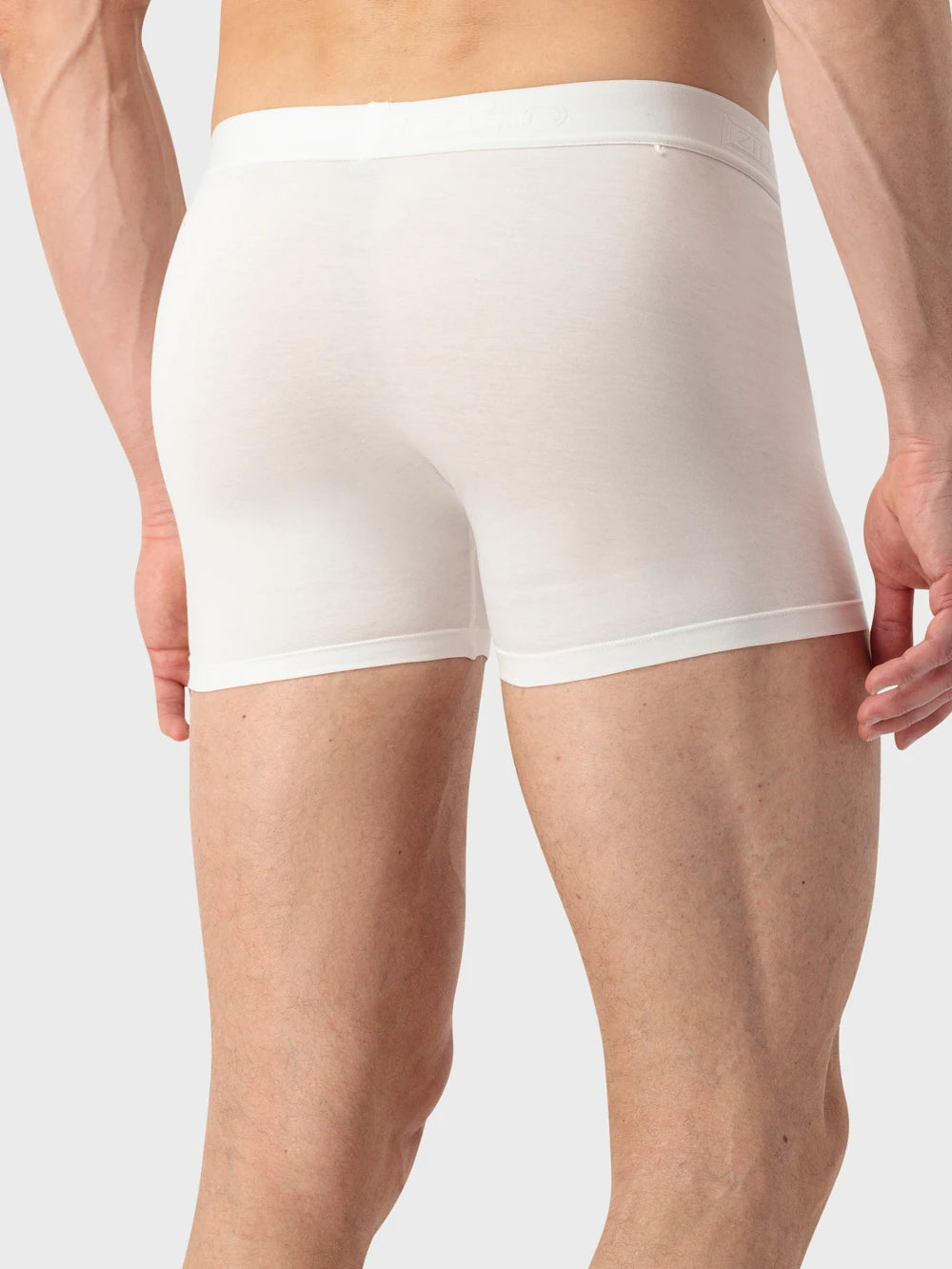 بوكسر زيللي بوكسر قطني فاخر من زيللي