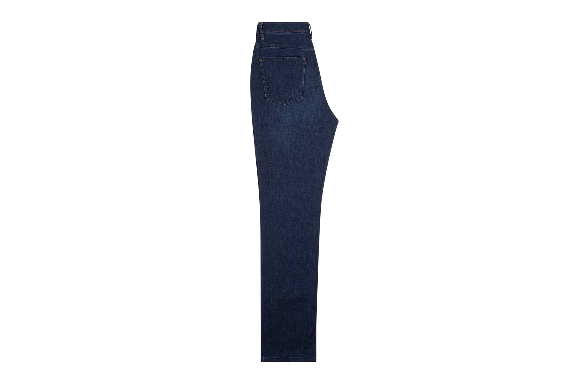 Slim Fit Jeans, Lion Embroidery, Alligator Details - ZILLI